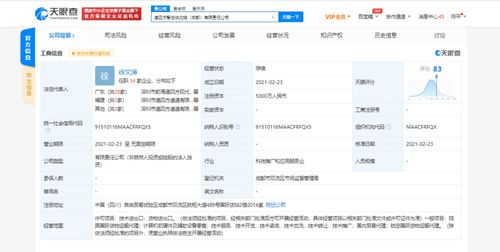 计算机软硬件技术开发 双轮驱动，引领数字未来